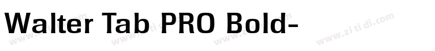 Walter Tab PRO Bold字体转换
